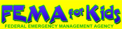 Fema Logo